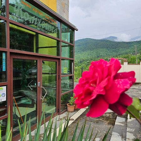 Family Hotel Komhotel Berkovitsa Eksteriør bilde