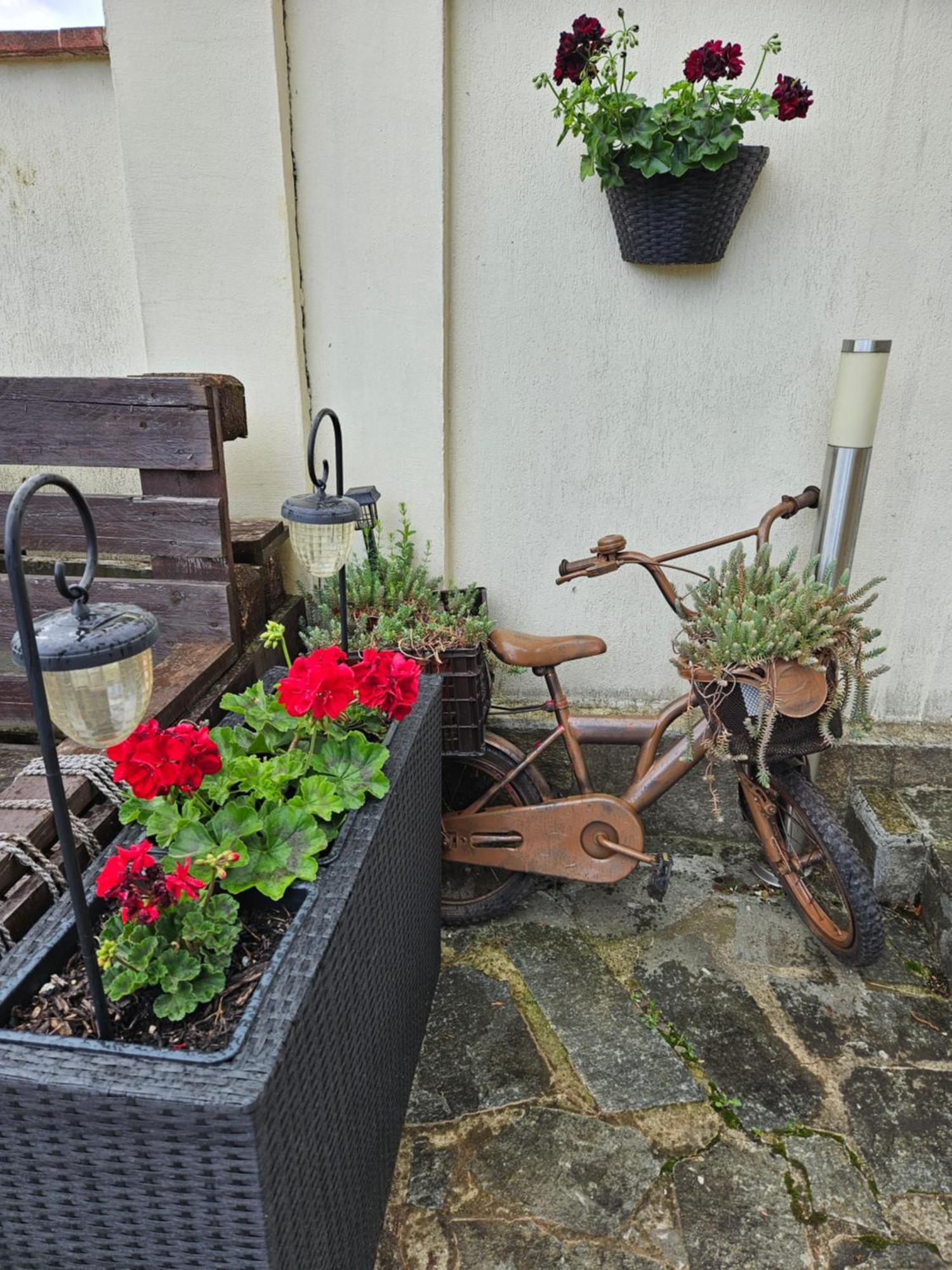 Family Hotel Komhotel Berkovitsa Eksteriør bilde
