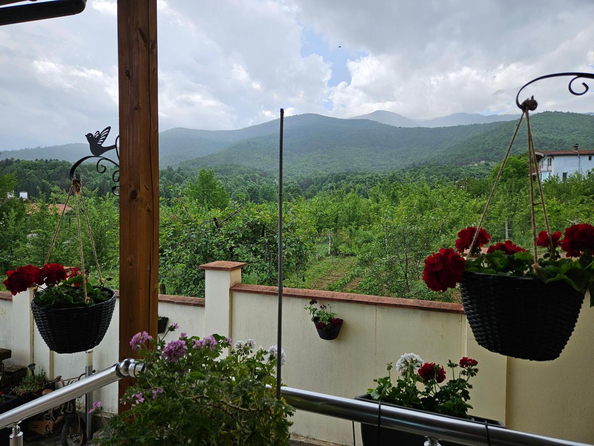 Family Hotel Komhotel Berkovitsa Eksteriør bilde
