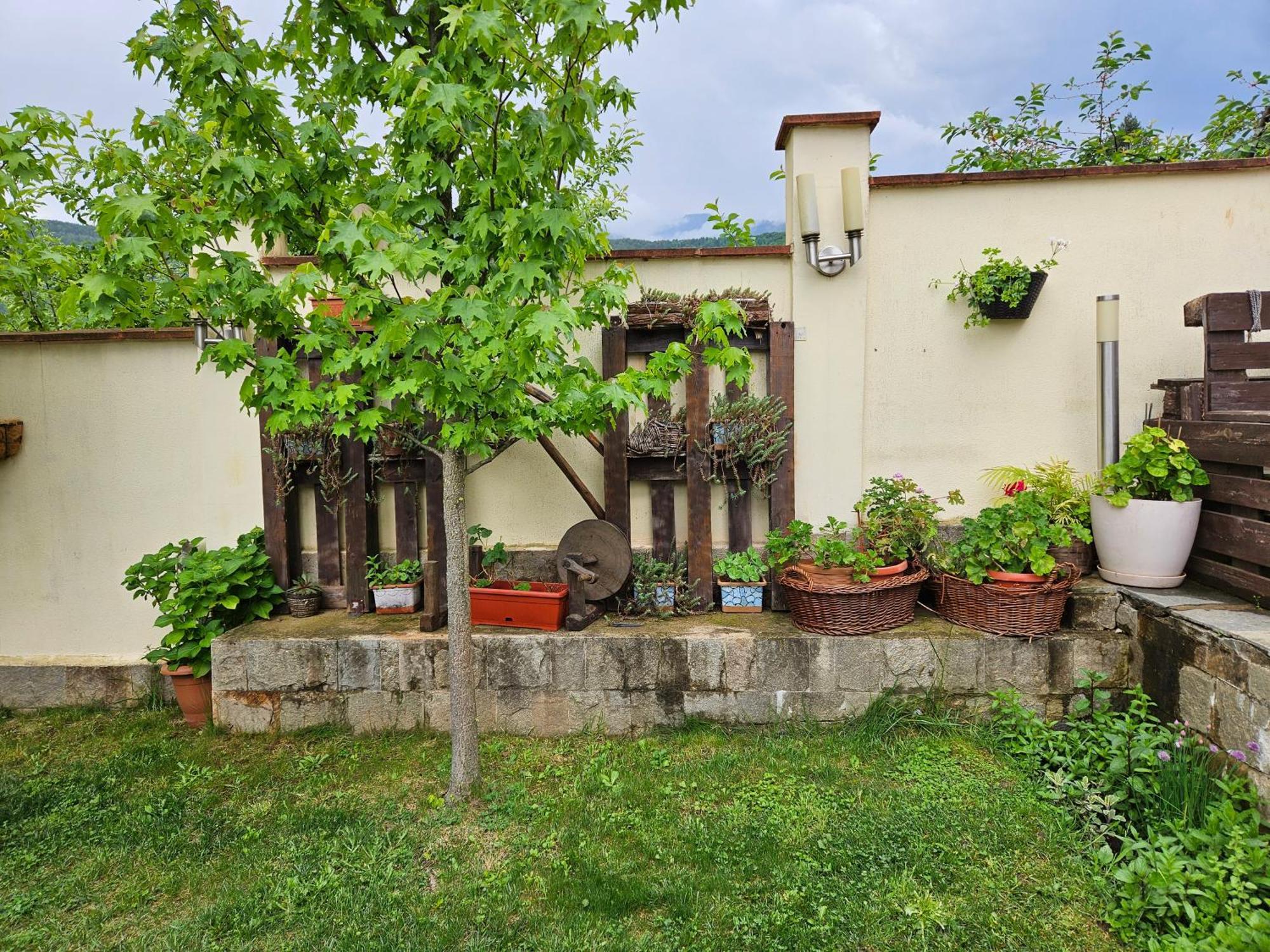 Family Hotel Komhotel Berkovitsa Eksteriør bilde